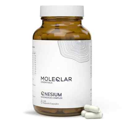 Moleqlar Longevity Qnesium Magnesium Complex Kapsel (n) 