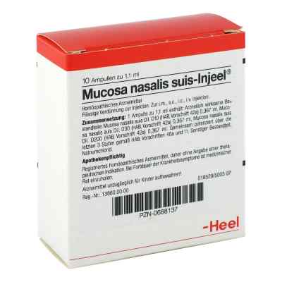 Mucosa nasalis suis Injeel Ampullen 10 stk von Biologische Heilmittel Heel GmbH PZN 00688137