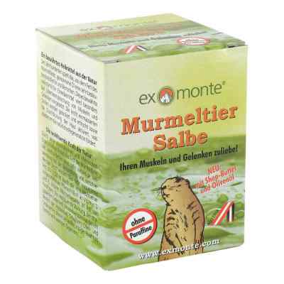 Murmeltiersalbe ohne Paraffine