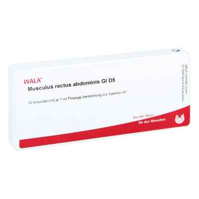 Musculus Rect.abdominis Gl D5 Ampullen