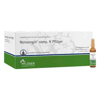 Nervoregin compositus H Pflüger Ampullen