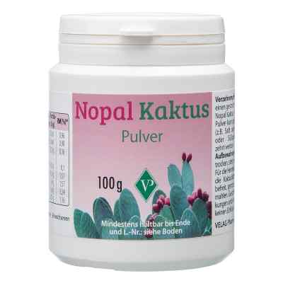 Nopal Kaktus Pulver