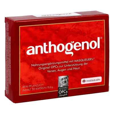 Opc Original Masqueliers Anthogenol Kapseln