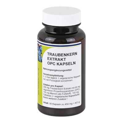 Opc Traubenkernextrakt 200 mg Kapseln 90 stk von Reinhildis-Apotheke PZN 09667562