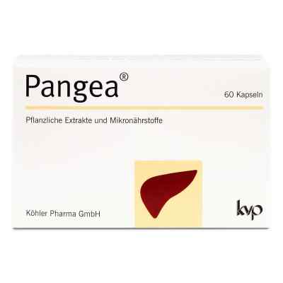 Pangea Kapseln