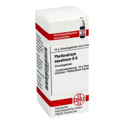 Phellandrium Aquaticum D6 Globuli