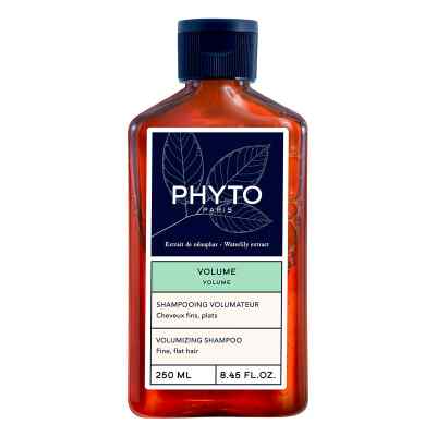 Phyto Volume Shampoo
