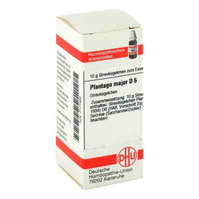 Plantago Major D6 Globuli