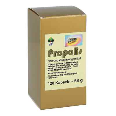 Propolis Kapseln 120 stk von FBK-Pharma GmbH PZN 00004848