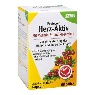 Protecor Herz-aktiv Kapseln 60 stk von SALUS Pharma GmbH PZN 01249078