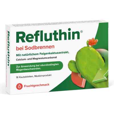 Refluthin Bei Sodbrennen Kautabletten Frucht 16 stk von Dr.Willmar Schwabe GmbH & Co.KG PZN 16011247