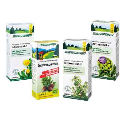 Schoenenberger Stoffwechselkur