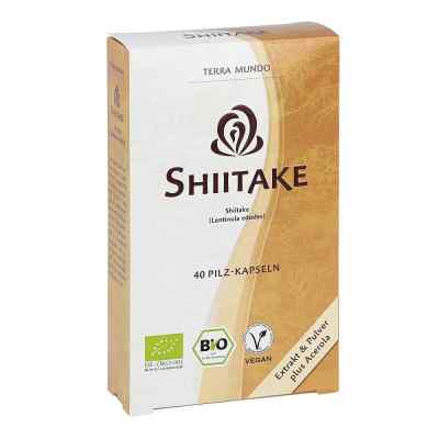 Shiitake Vitalpilz Bio Terra Mundo Kapseln
