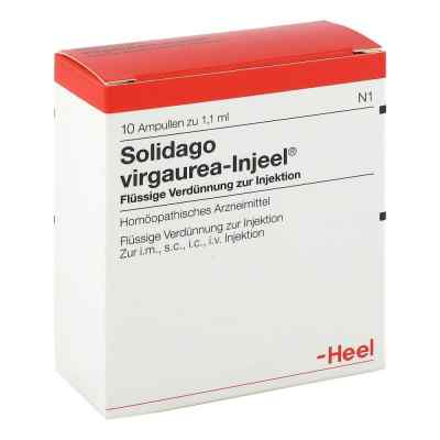 Solidago Virgaurea Injeel Ampullen