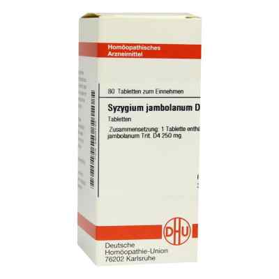 Syzygium Jambolanum D4 Tabletten 80 stk von DHU-Arzneimittel GmbH & Co. KG PZN 02803743