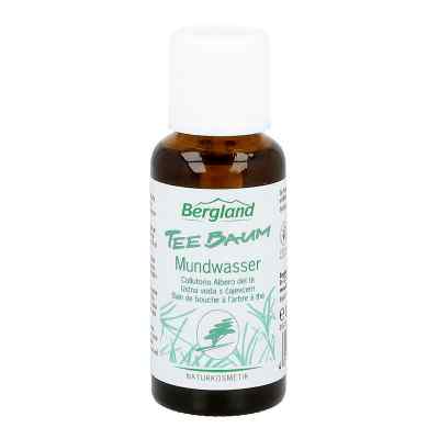 Teebaum Mundwasser