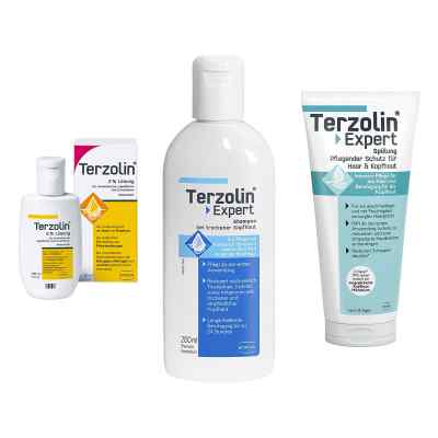 Terzolin 2% Lösung + Expert Shampoo trockene Kopfhaut + Spülung 1 stk von STADA Consumer Health Deutschland GmbH PZN 08103221