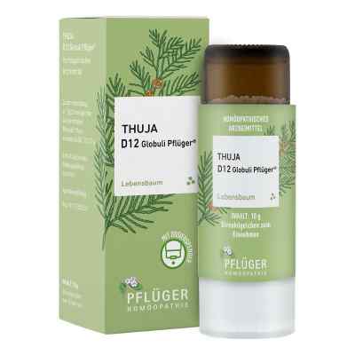 Thuja D12 Globuli Pflüger Dosierspender