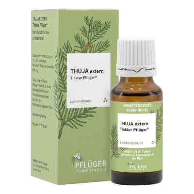 Thuja Extern Tinktur Pflüger