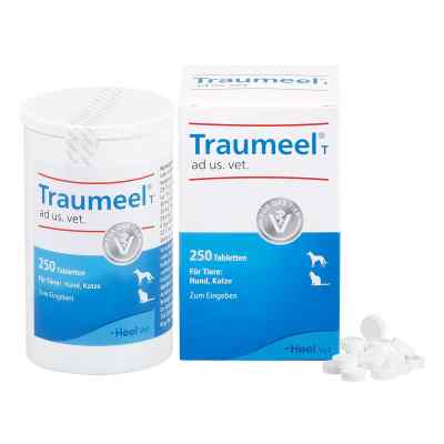 Traumeel T Tabletten für Hunde /Katzen 250 stk von Biologische Heilmittel Heel GmbH PZN 04055630