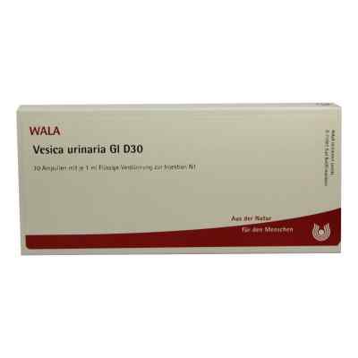 Vesica Urinaria Gl D30 Ampullen 10X1 ml von WALA Heilmittel GmbH PZN 02830183