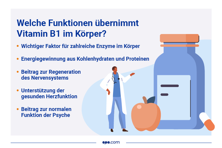 MD-49748_infografiken_diabetes_kw445 Vitamin B1 Funktionen