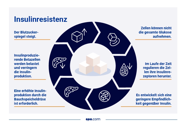 Gibt Es Eine Vorstufe Von Diabetes www.apo.com