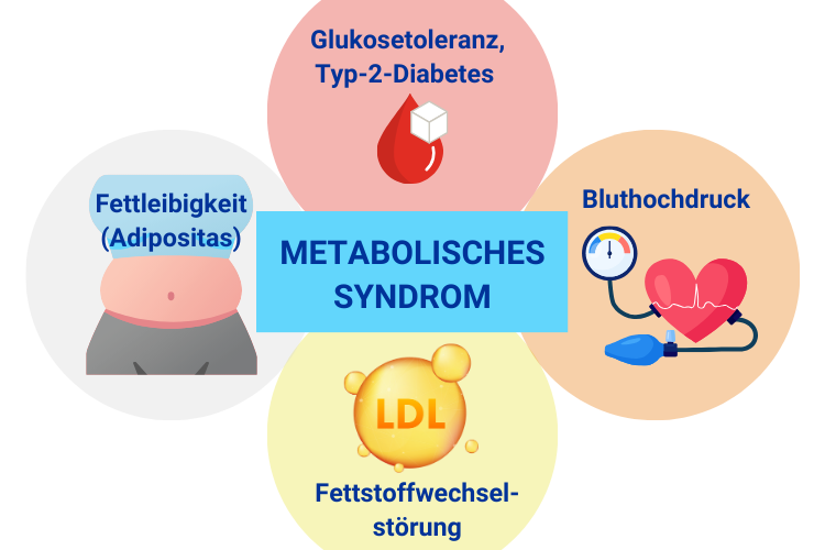 Merkmale von einem metabolischen Syndrom